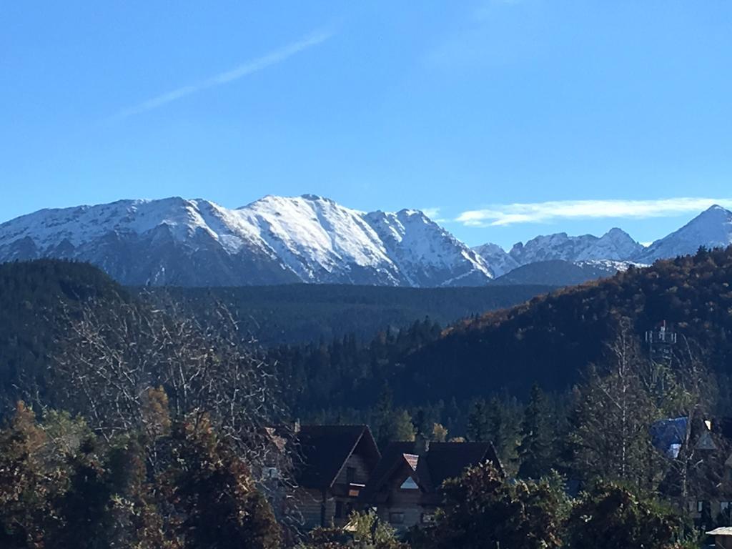 Villa Gronik Zakopane Exterior foto